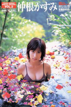 电视剧解密
